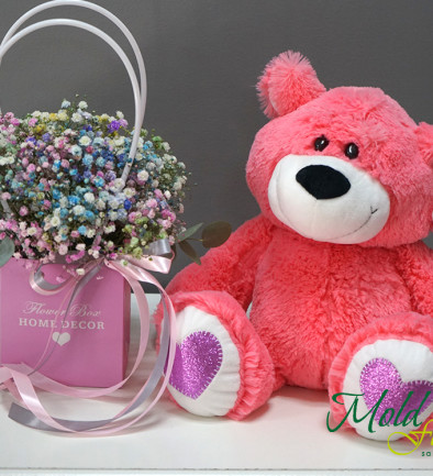 Набор :Розовая сумочка с разноцветной гипсофилой и Мишка Андрюша коралловый h=45 см Фото 394x433
